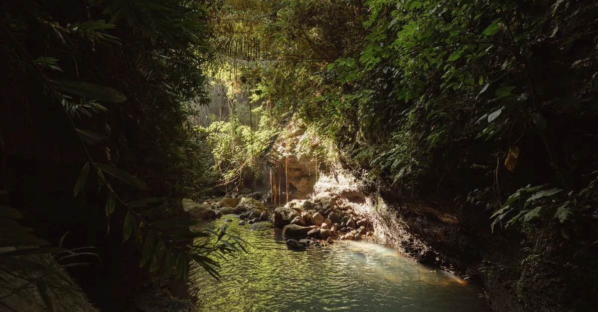 Exploring the Best Multi-Day Tours from Riviere des Anguilles: A Comprehensive Guide