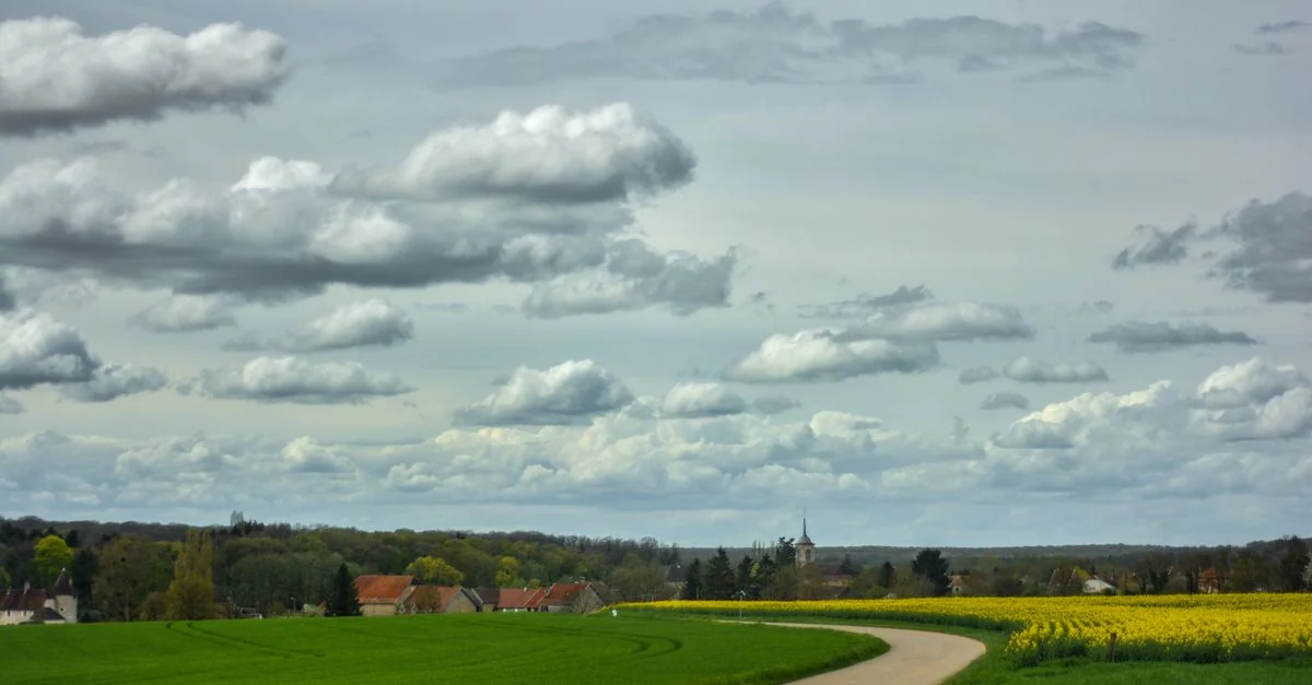 The Practical Traveler&rsquo;s Guide to Roissy-en-France Airport and Hotel Transfers