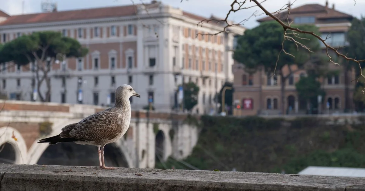 Traveling from Roma Termini to Venice: A Practical Guide