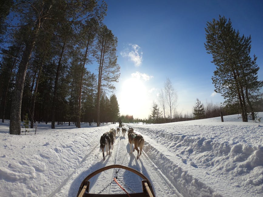 rovaniemi-adventure