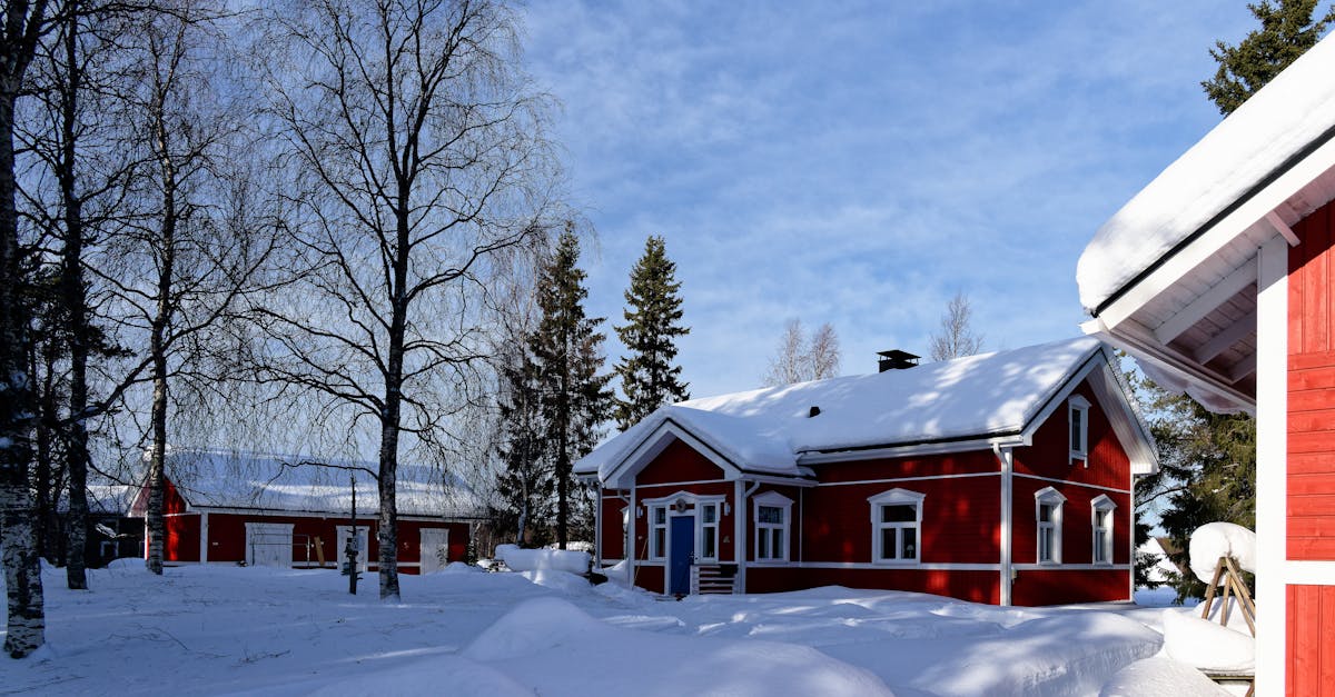 rovaniemi-day-trips