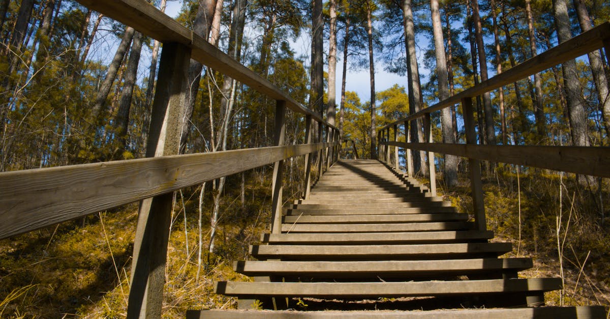 rovaniemi-hiking-tours