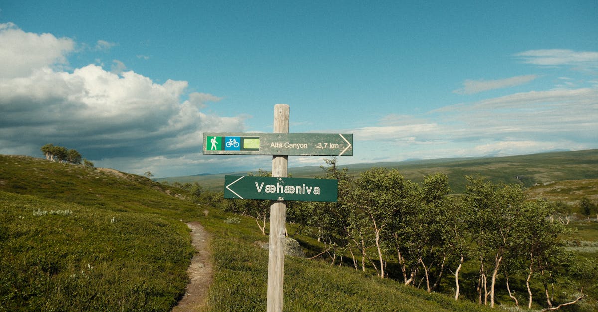 rovaniemi-hiking-tours