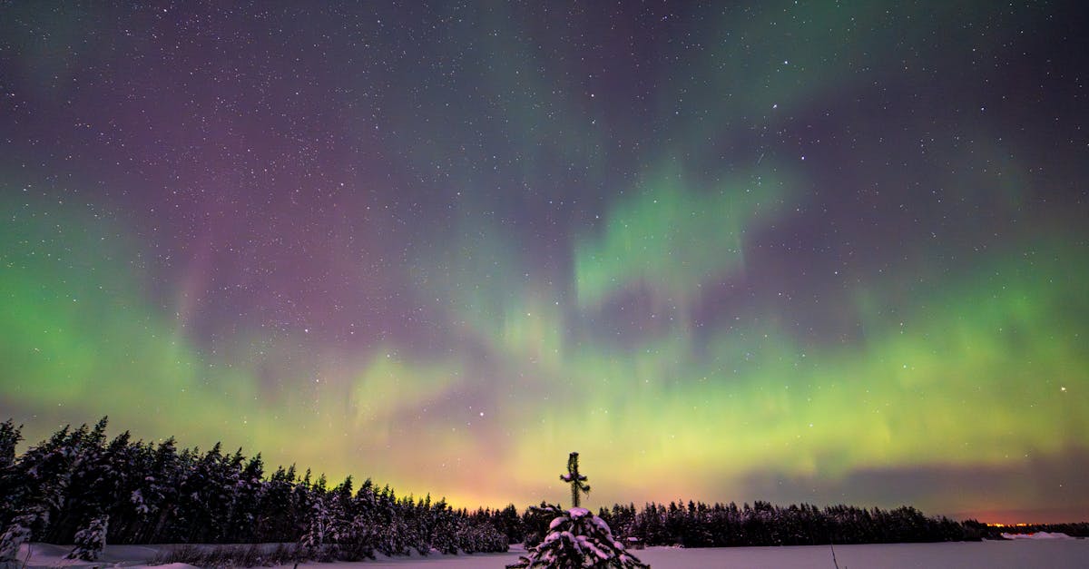 rovaniemi-luxury-tours