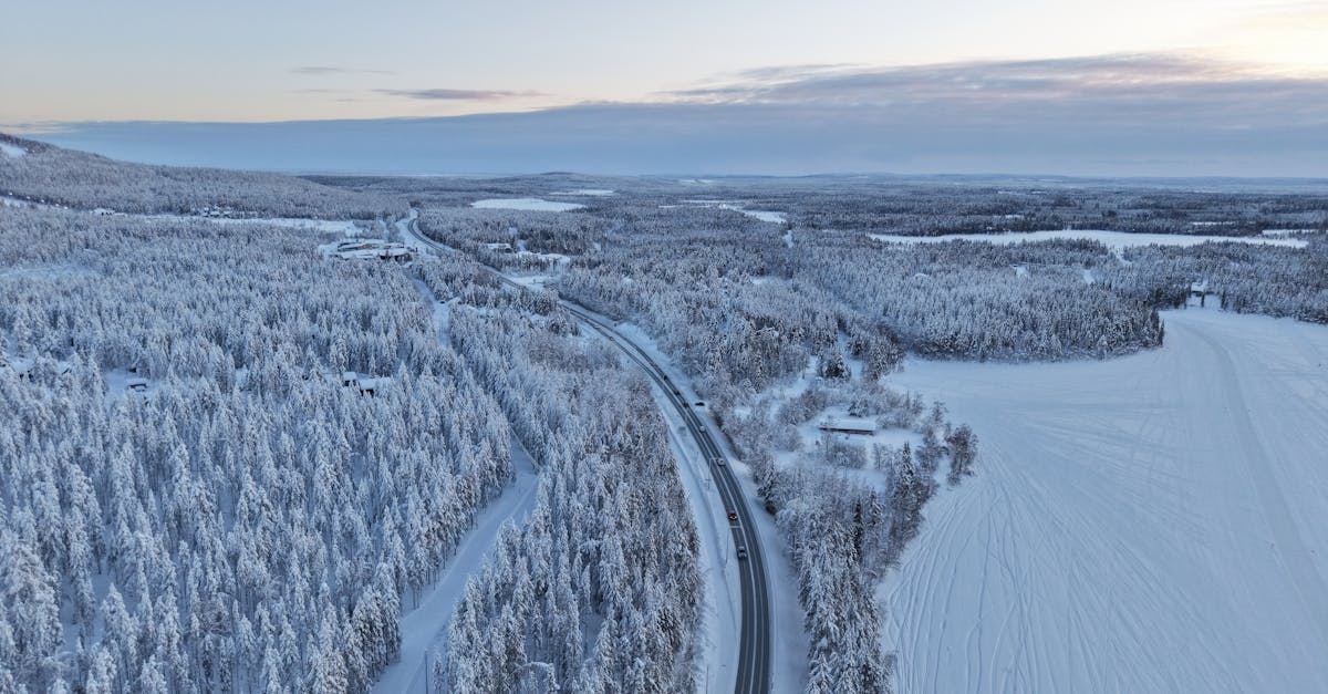 rovaniemi-luxury-tours