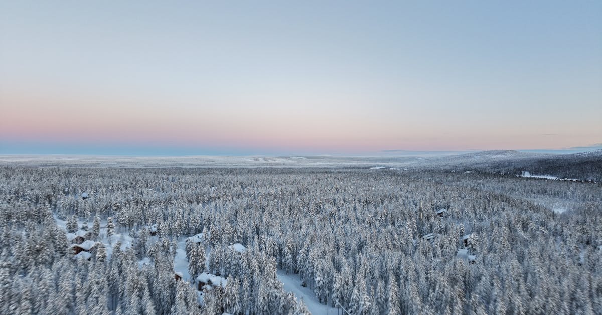 rovaniemi-luxury-tours
