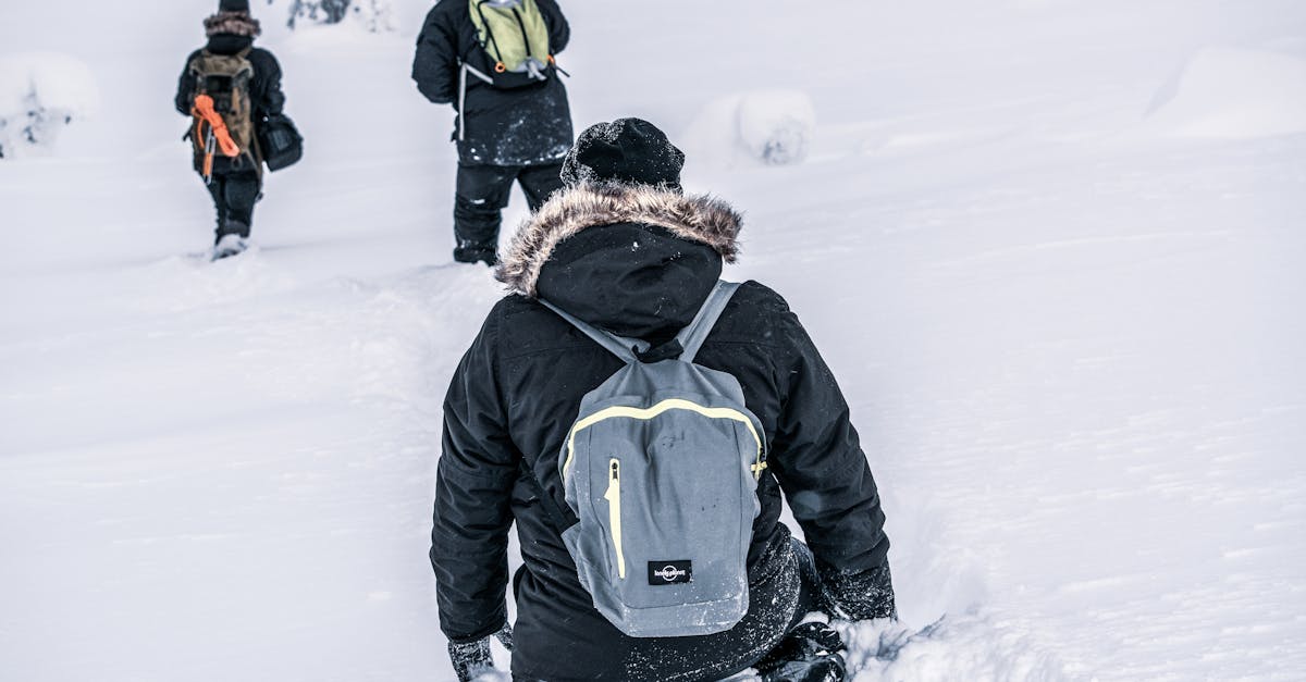 rovaniemi-luxury-tours