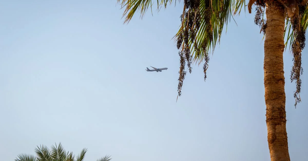 Comprehensive Data-Driven Review of Royal Jordanian