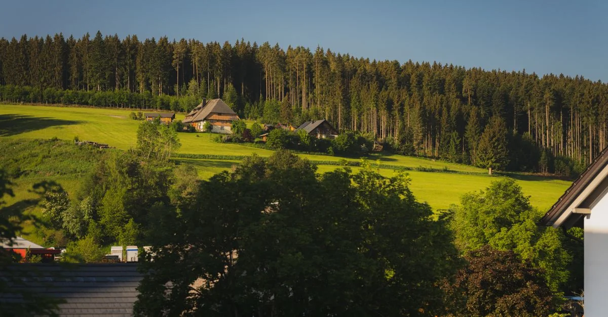 Photography Tours in Süd: Best Photo Walks and Workshops