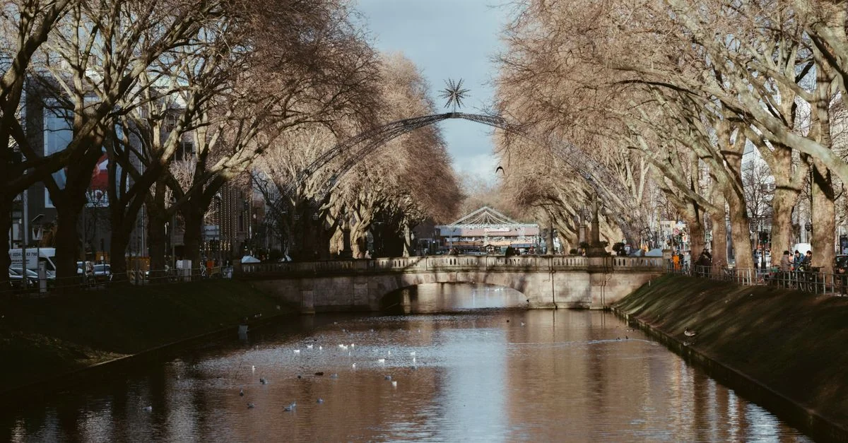 ’s-Hertogenbosch to Antwerp by Bus: A Practical Guide