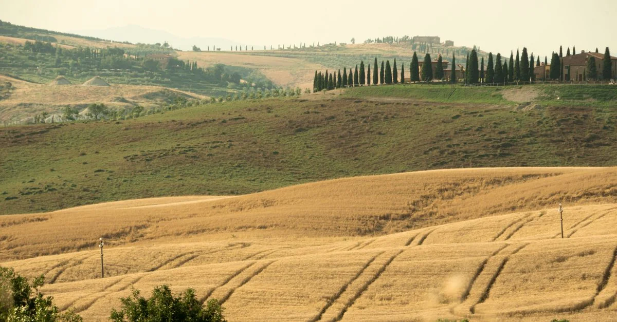 SA Dining Guide: Navigating the Michelin Landscape in Southern Italy