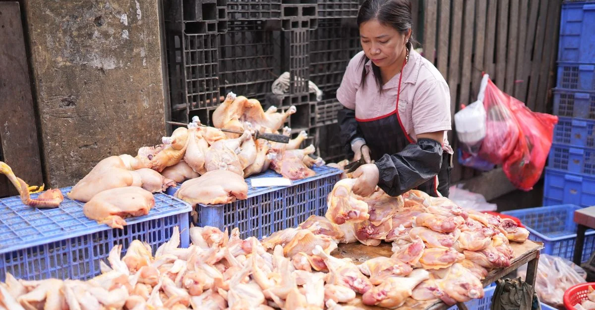 Sa Pa Multi-Day Tours: Explore Vietnam’s Scenic Highlands