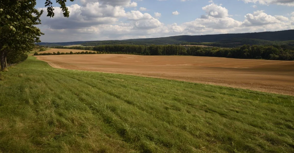 Unlocking the Mysteries: Escape Rooms and Puzzle Experiences in Sachsen-Anhalt, Germany