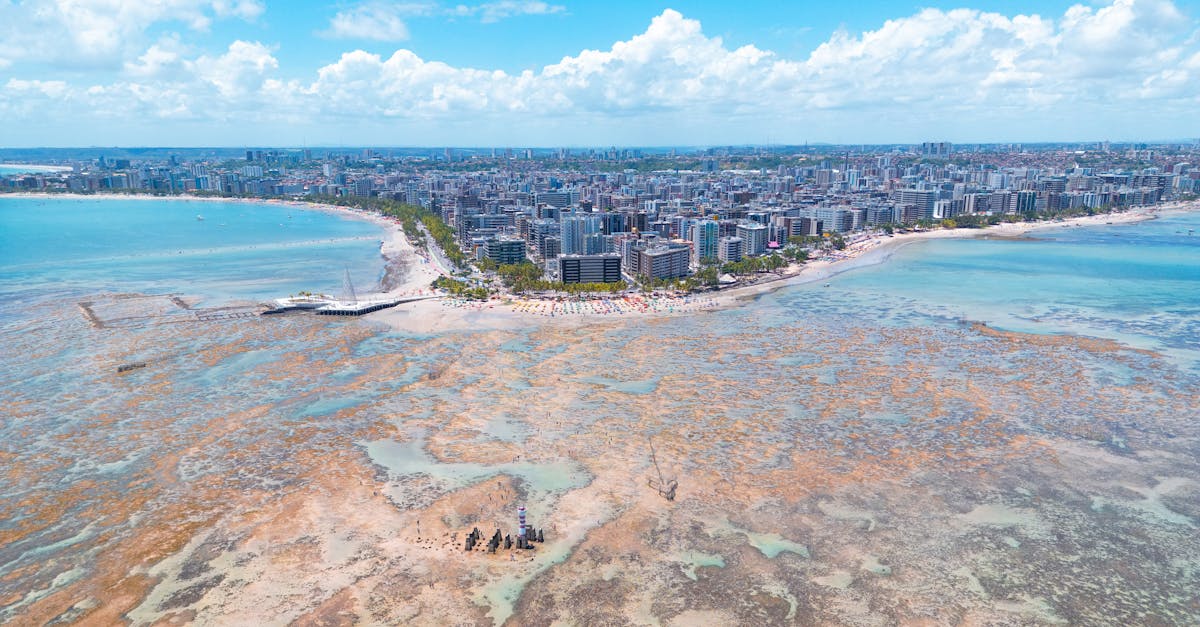 salvador-food-tours
