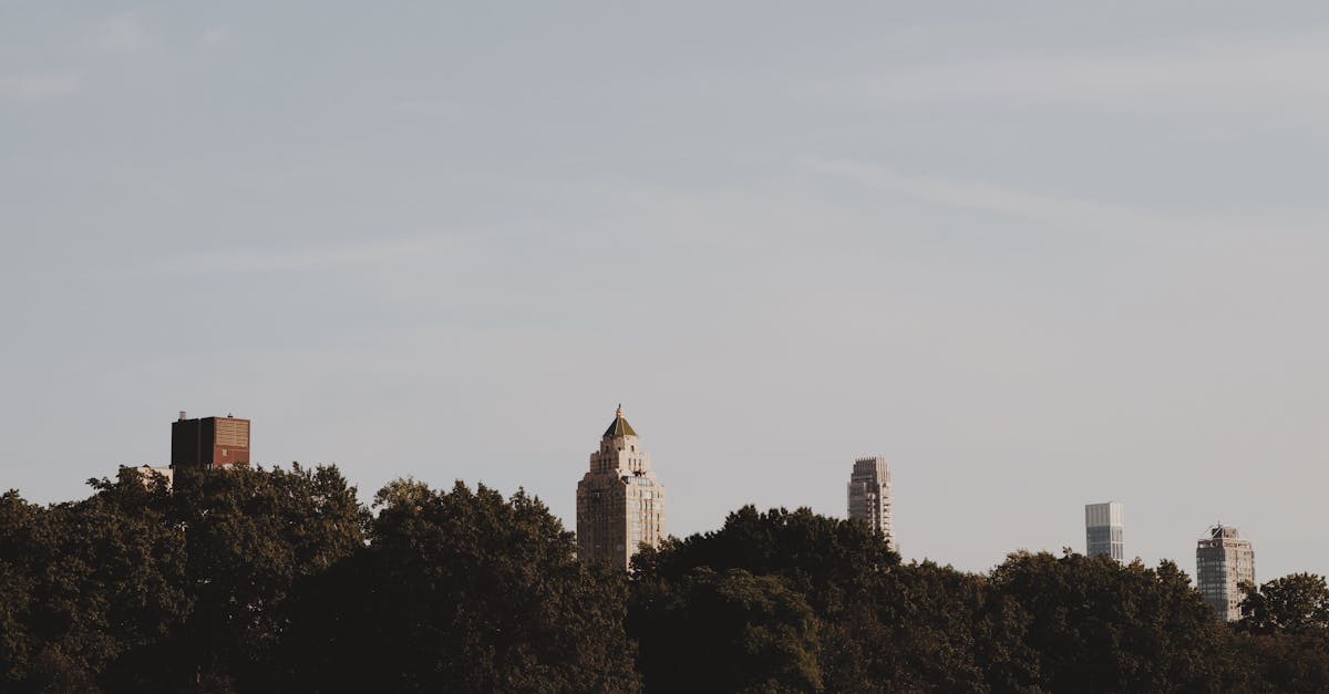 san-francisco-nature