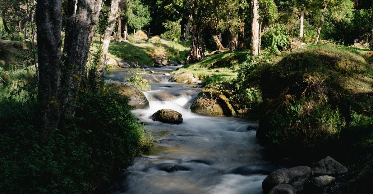 San José, Costa Rica: A Food Tourist&rsquo;s Dream