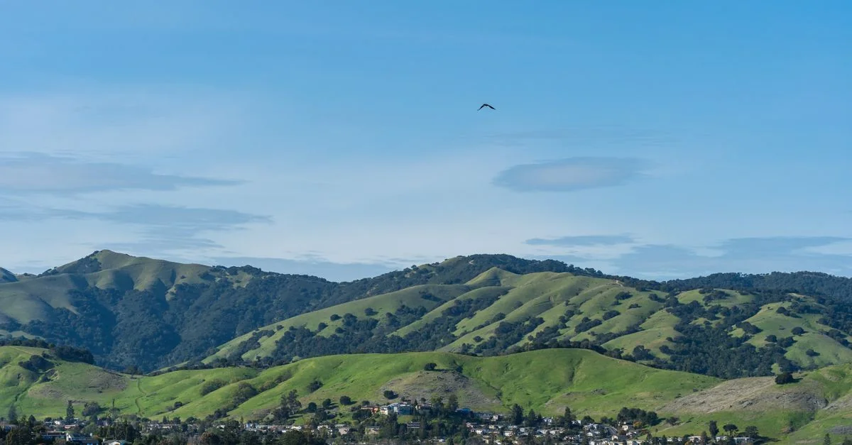 San Luis Obispo County Food Tours: A Wine Lover’s Dream