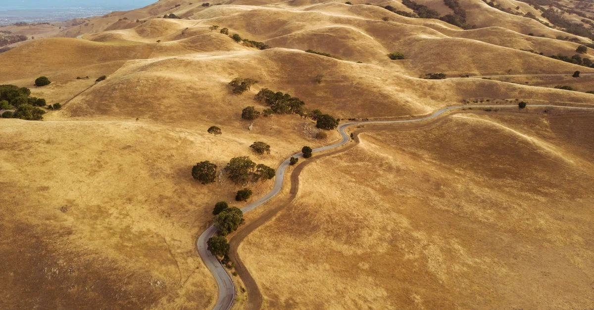 San Luis Obispo County Food Tours: A Wine Lover’s Dream