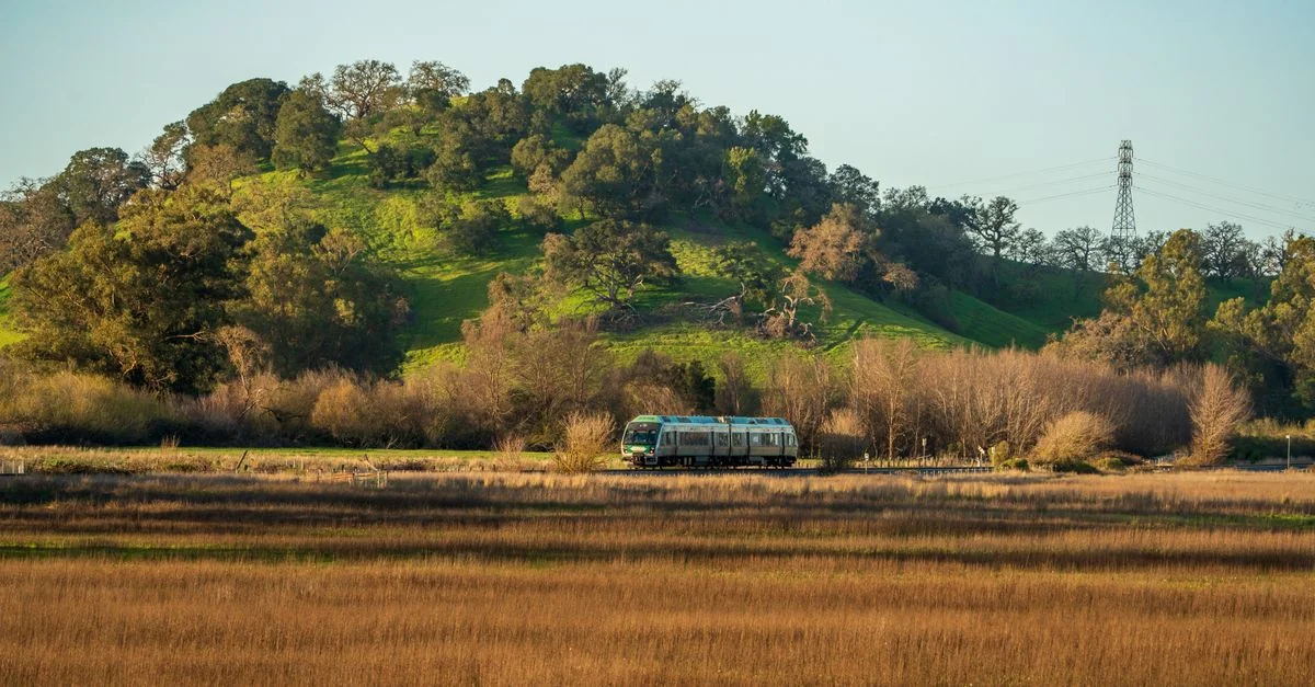 Exploring San Mateo County on Foot: The Best Walking Tours for Every Budget