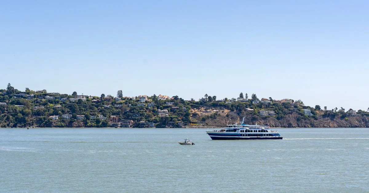 Exploring San Mateo County on Foot: The Best Walking Tours for Every Budget