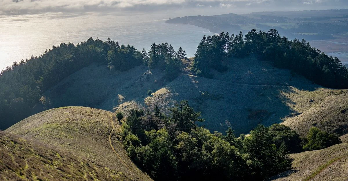 Exploring San Mateo County on Foot: The Best Walking Tours for Every Budget