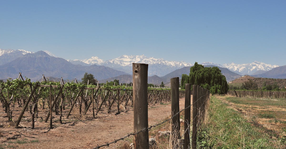 santiago-adventure