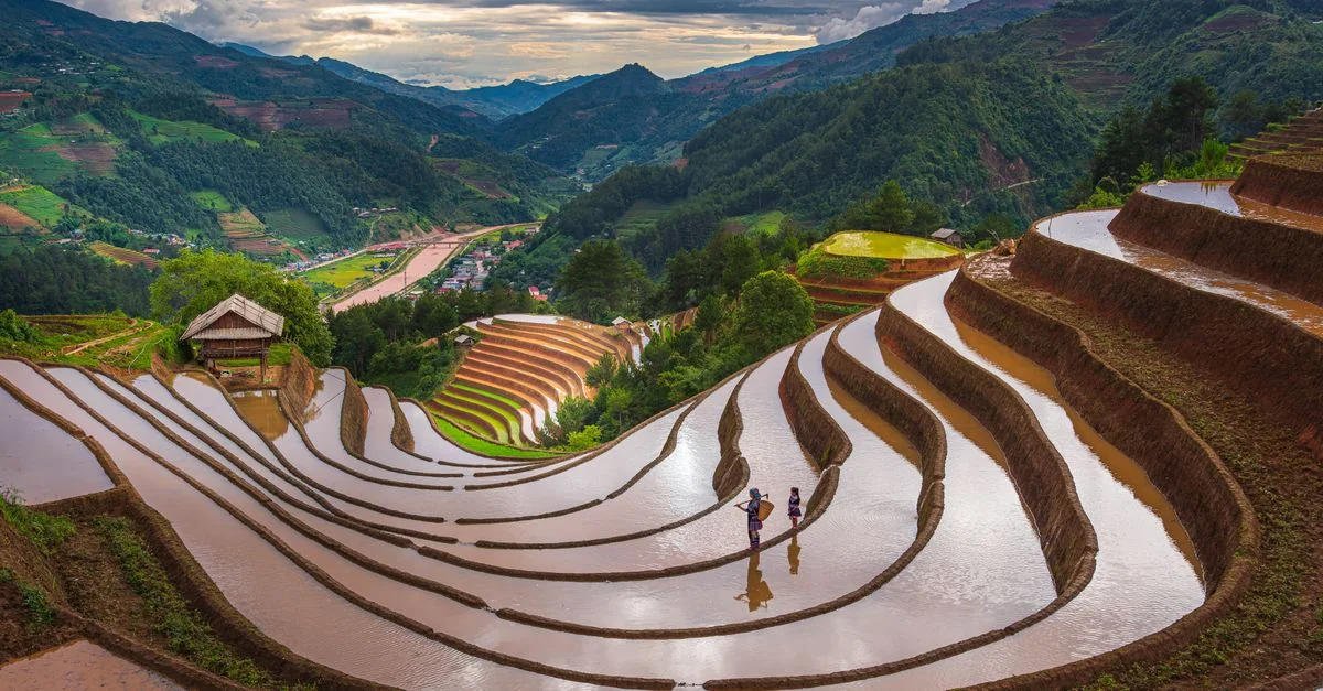 Nature and Wildlife Tours in Sapa: Safari, Birdwatching and Eco Adventures