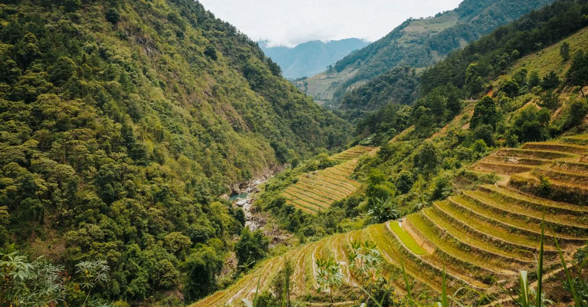 Nature and Wildlife Tours in Sapa: Safari, Birdwatching and Eco Adventures