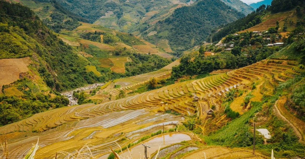 Nature and Wildlife Tours in Sapa: Safari, Birdwatching and Eco Adventures