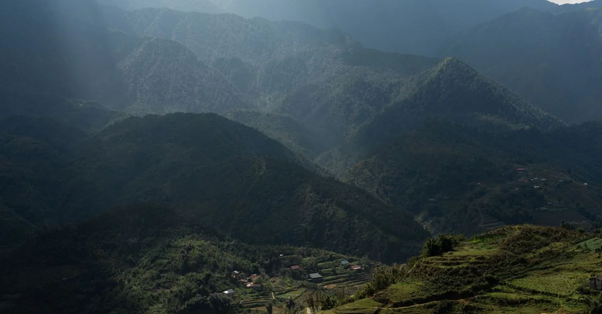 Nature and Wildlife Tours in Sapa: Safari, Birdwatching and Eco Adventures