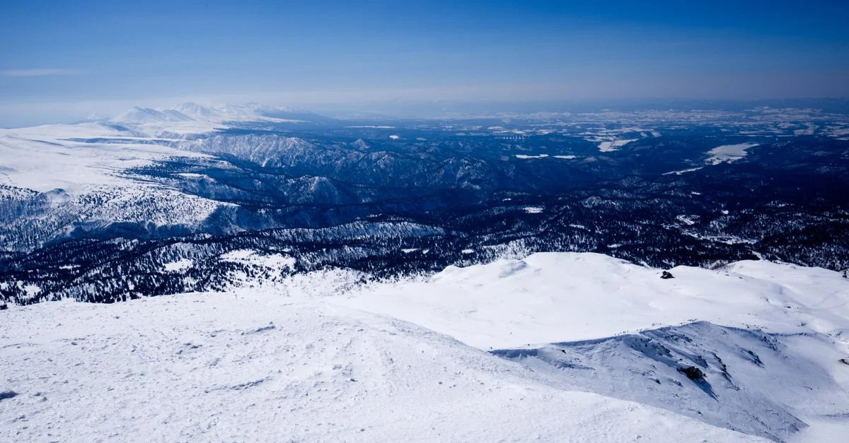 Exploring Sapporo: The Best City Tours and Sightseeing Adventures
