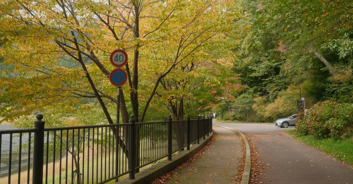 Sapporo Multi-Day Tours: Your Complete Planning Guide