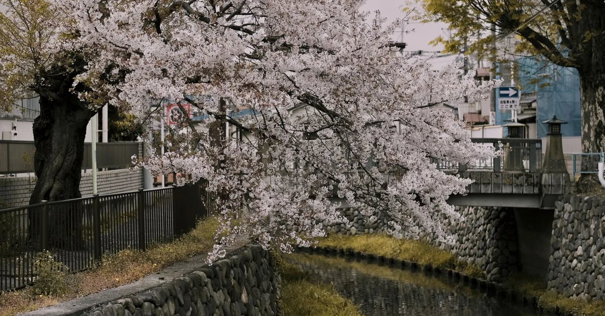Sapporo Multi-Day Tours: Your Complete Planning Guide