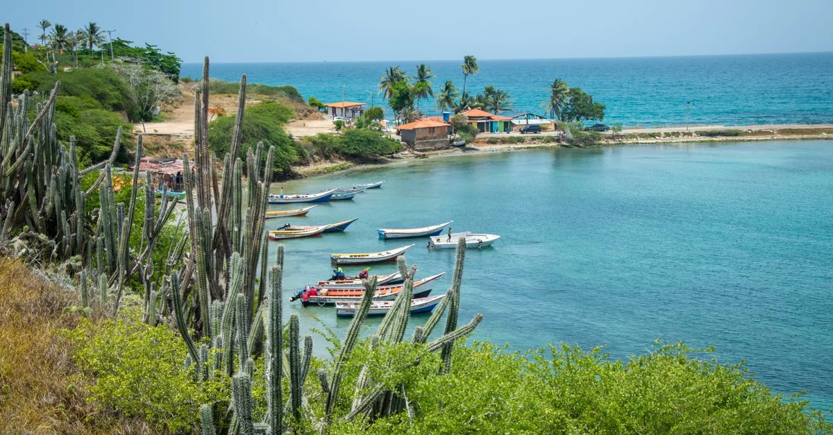 Best Photo Tours in Savaneta