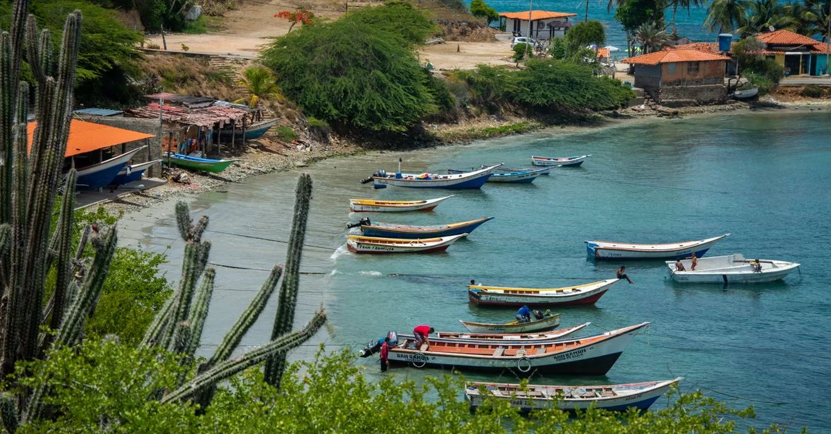 Best Photo Tours in Savaneta