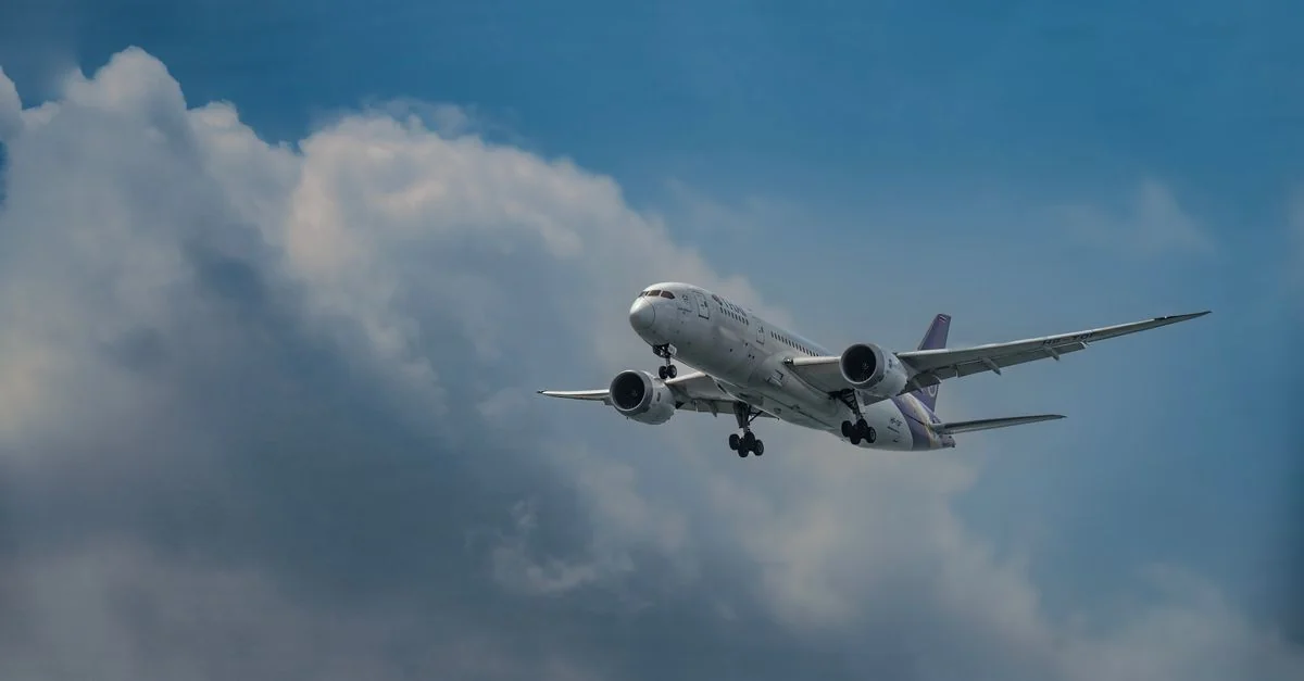 Scandinavian Airlines Airline Review