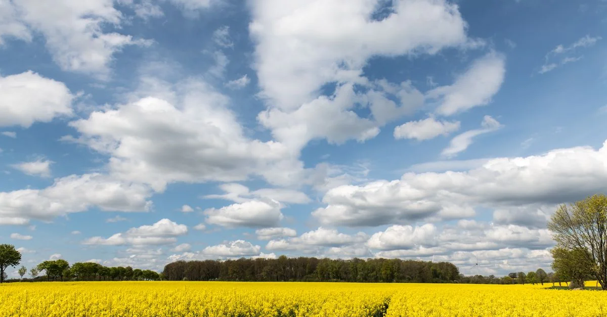 Exploring Schleswig-Holstein on Foot: A Walk Through History