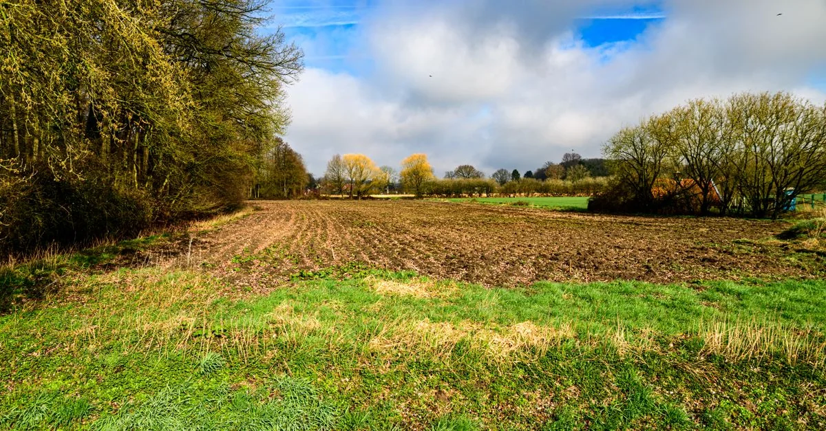 Exploring Schwaben, Germany: A Walk Through Time and Beauty