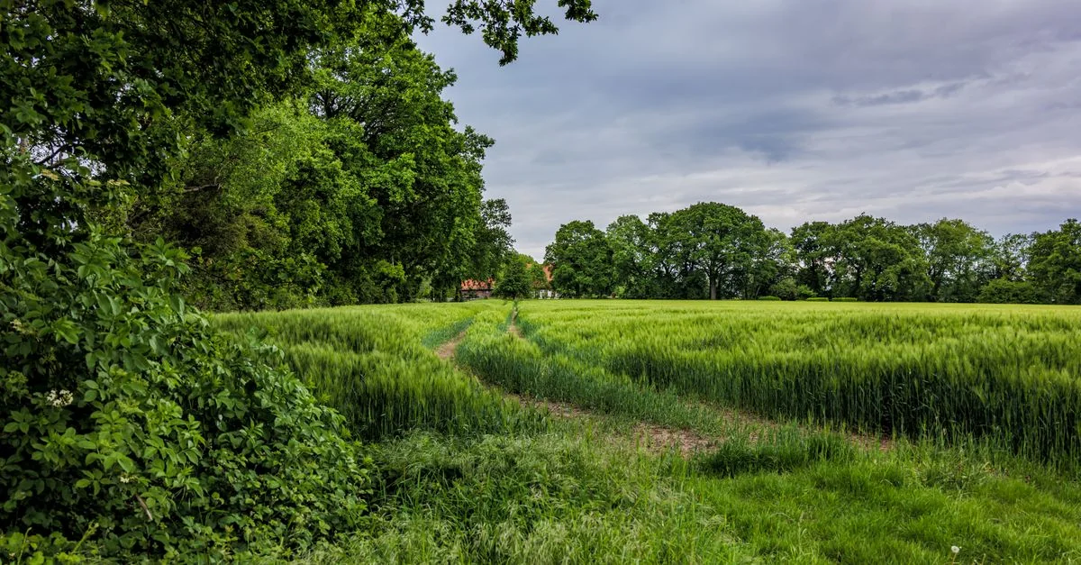 Exploring Schwaben, Germany: A Walk Through Time and Beauty
