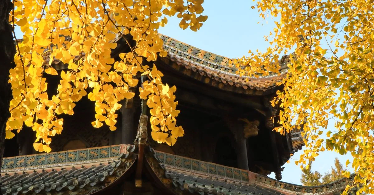 Si Chuan Sheng Multi-Day Tours: Explore China’s Heartland