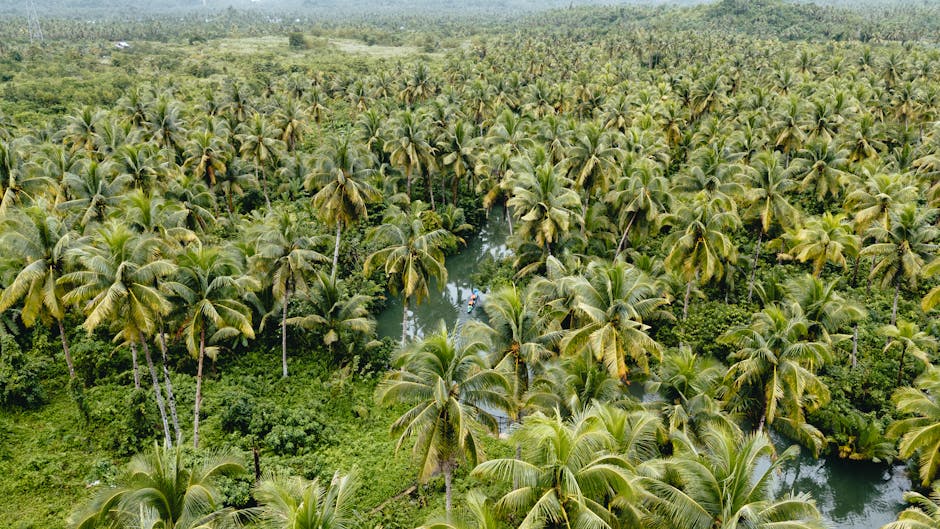 siargao-philippines