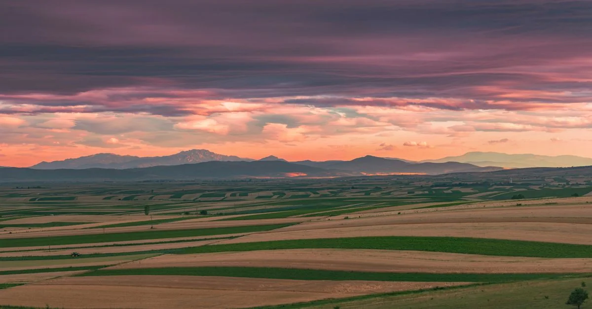 Nature and Wildlife Tours in Sibiu: Discover Romania