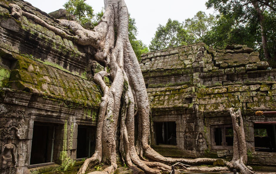 siem-reap-cambodia