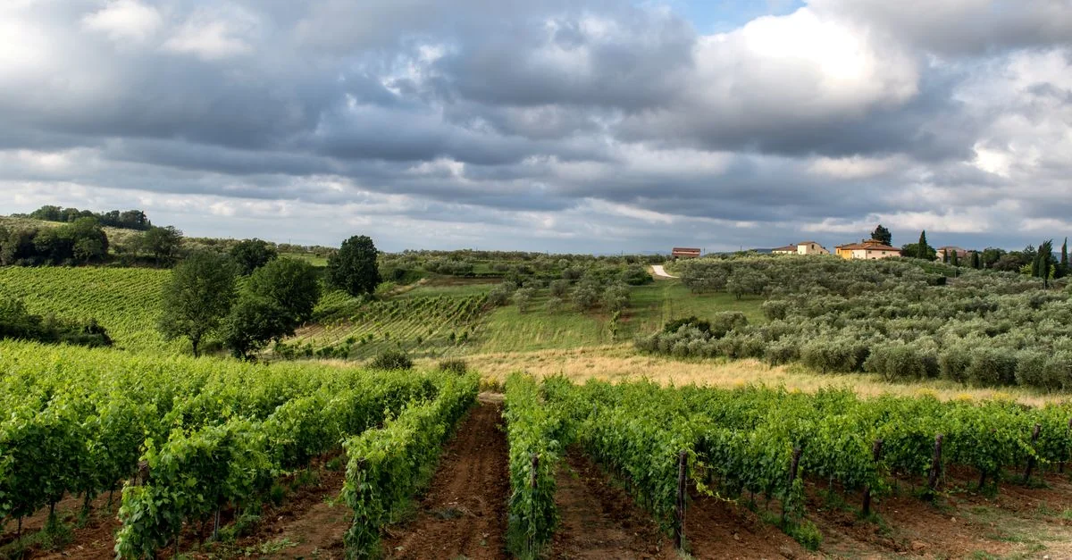 Siena to Pisa by Bus: The Smart Budget Traveler’s Guide