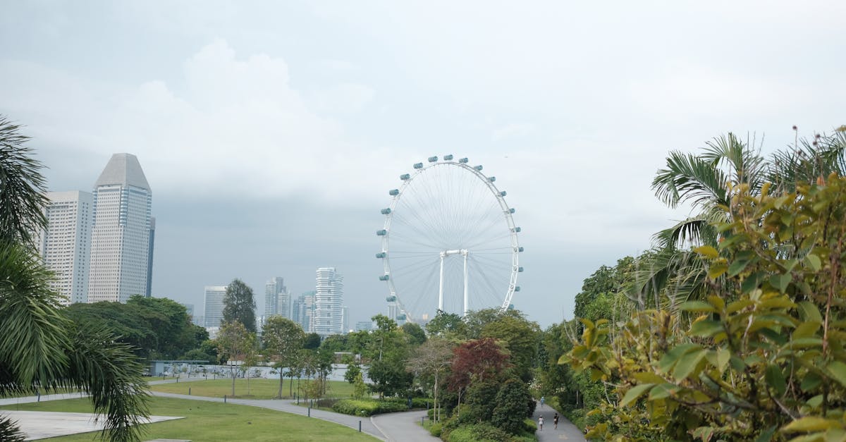 singapore-food-tours