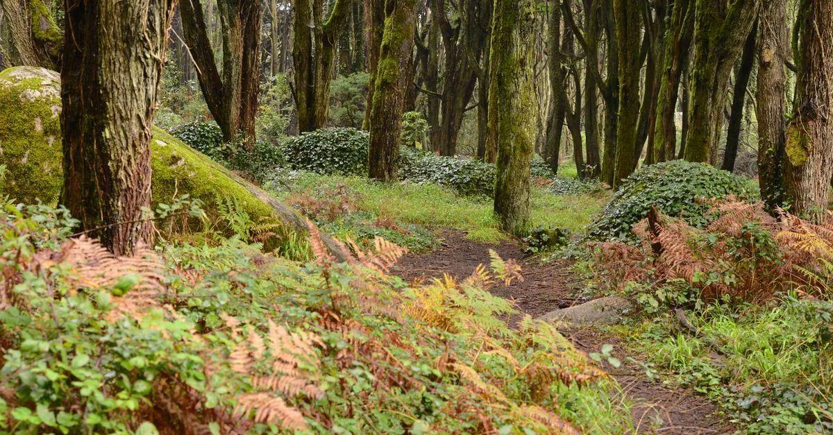 Sintra Day Trip Guide: Castles, Coasts & Mountain Roads