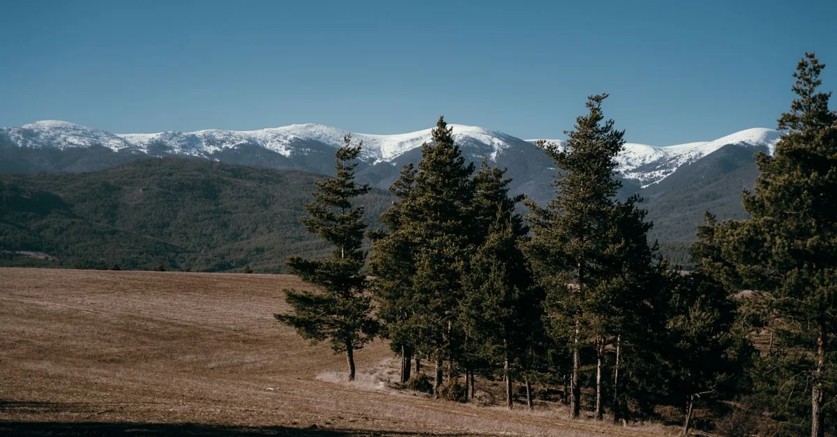 Sofia City Province Day Trip Guide: Monasteries, Caves & Mountain Valleys