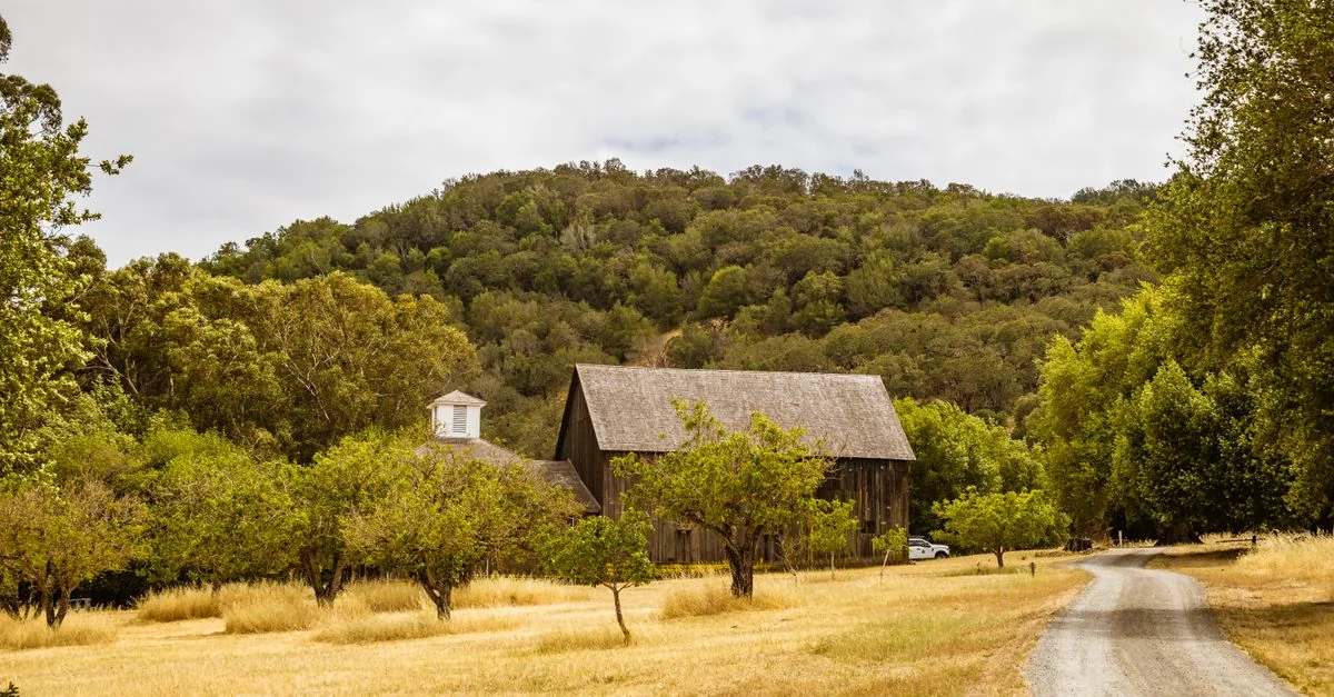 Explore Sonoma County on Foot: The Best Walking Tours for Wine Lovers