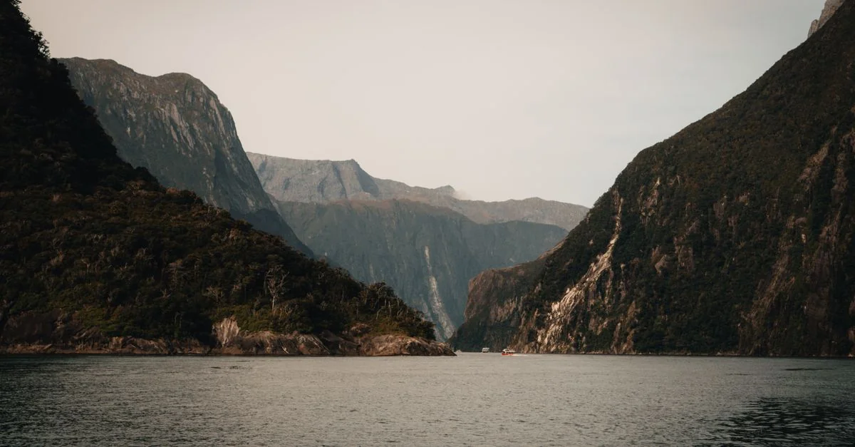 Best Cruise Tours in Southland Region
