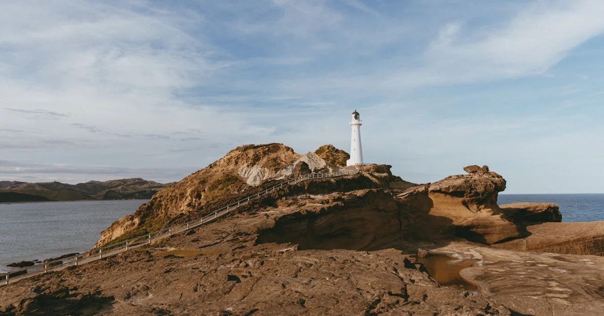 Best Cruise Tours in Southland Region